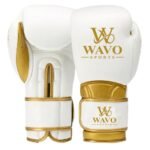 Boxing Gloves WS 904
