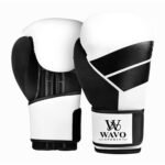 Boxing Gloves WS 901